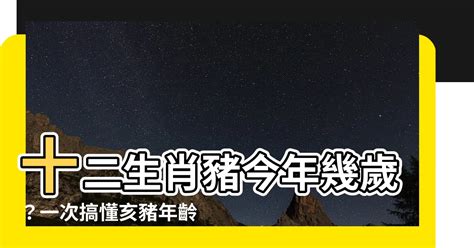 豬年 年份|屬豬今年幾歲｜屬豬民國年次、豬年西元年